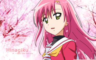 Pink haired girl anime hanami - a girl free wallpaper