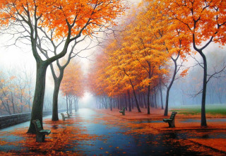 Park trees benches rain bench - the side of the road free wallpaper