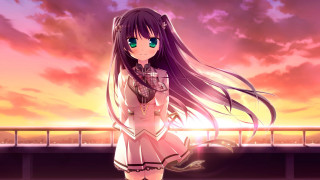 Girl long hair bridge sunset - a sunset in the background free wallpaper