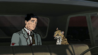 Man car leopard dashboard open - ed benedict free wallpaper