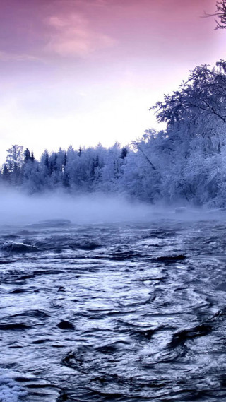 River boat trees foggy sunset - a boat free wallpaper