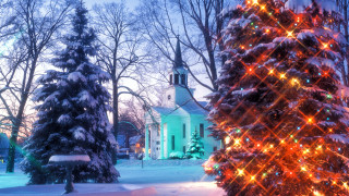 Christmas tree lit snowy yard - evgeny lushpin free wallpaper