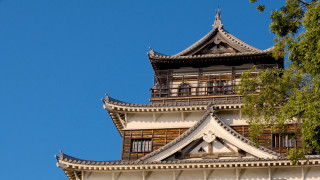 Tall building clock tower tree - a tall building free wallpaper