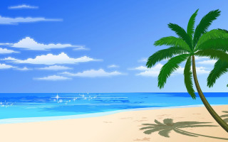 Palm tree beach blue sky 4 - felipe seade free wallpaper