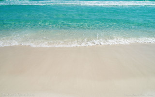 Beach wave person walking surfboard - evaline ness free wallpaper
