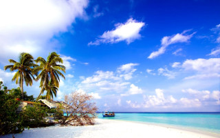 Boat beach palm trees blue 8 - ding guanpeng free wallpaper