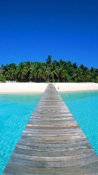 Wooden dock ocean beach palm - the ocean free wallpaper