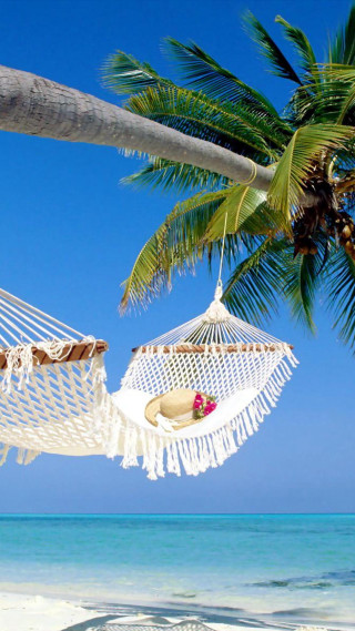 Hammock palm tree beach blue 4 - a blue sky and ocean in the background free wallpaper