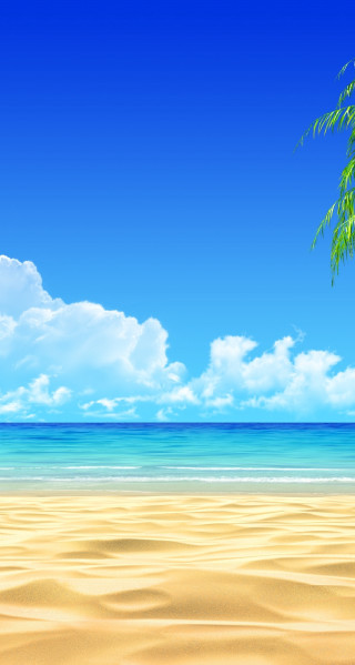 Beach palm tree blue sky - beach free wallpaper