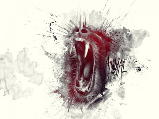 Snarling animal black white photo - sharp claw free wallpaper