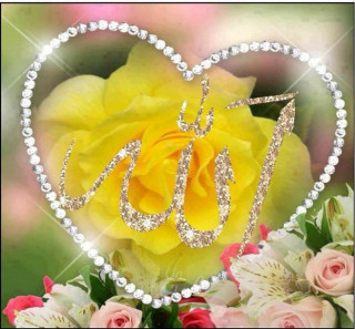 Yellow rose white flowers love - ilm free wallpaper