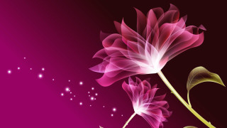 Pink flower green stem purple - abstract art free wallpaper