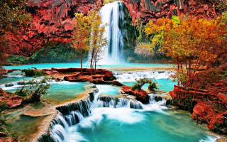 Waterfall background trees foreground nature 3 - a waterfall in the background and trees free wallpaper