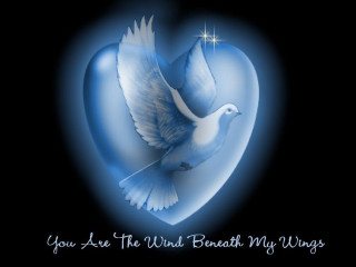 Blue heart dove star message - a blue heart free wallpaper
