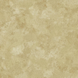 Beige background faded light brown - alesso baldovinetti free wallpaper