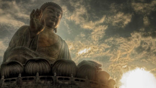 Buddha statue lush green field - lush free wallpaper