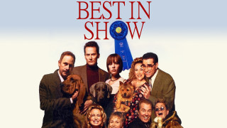 People dogs poster best in - institutional free wallpaper