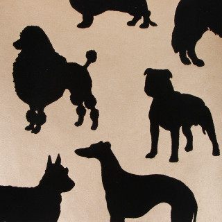Dogs group standing dirt together - free dogs wallpaper