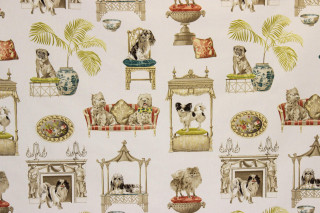 Dogs furniture wallpaper back wall - a wallpaper free wallpaper