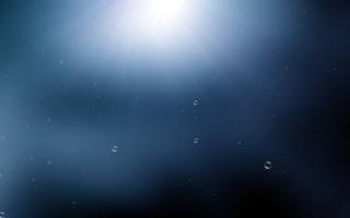 Bright sun shining water droplets - bruce munro free wallpaper