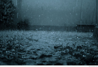 Rain soaked street bench tree - aestheticism free wallpaper