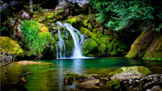 Waterfall forest mossy rocks trees 11 - a waterfall in a forest free wallpaper