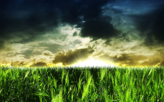 Field grass sun clouds dark - the cloud free wallpaper