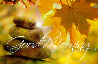 Rock leaves tree sunrise cloud - good free wallpaper