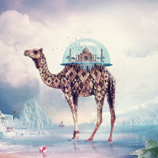 Camel dome water building pink - the water free wallpaper