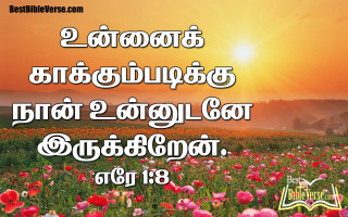 Flowers field sunset quote beautiful - a quote in the middle of it free wallpaper