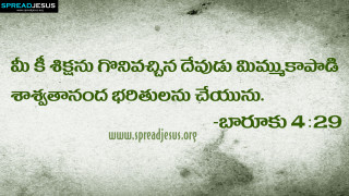 Quote green white background person - background free wallpaper
