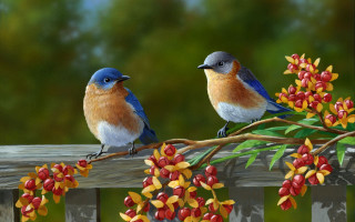 Two birds branch berries bush - bird free wallpaper for desktop