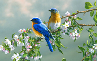 Birds flowering branch art brenner - a blue bird free wallpaper