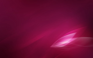 Pink background white flower black - a white flower free wallpaper