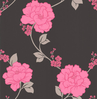 Pink flower black background stem - a pink flower free wallpaper