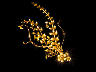 Yellow sunflower ornamental light effect - earnst haeckel free wallpaper