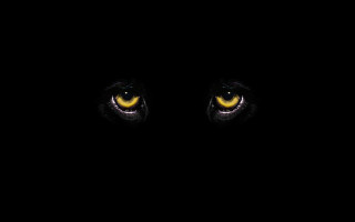 Black background yellow eyes white - yellow eye free wallpaper