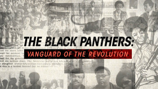 Black panthers vanguard revolution poster - black arts movement free wallpaper