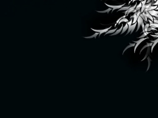 Black white bird gothic drawing - photo of a bird free wallpaper