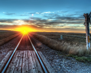 Train track sunset field grass - grass and bushes free wallpaper