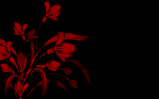 Red flower black vase red - alison kinnaird free wallpaper
