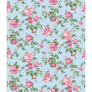 Blue background pink roses hummingbird 2 - green leaf free wallpaper