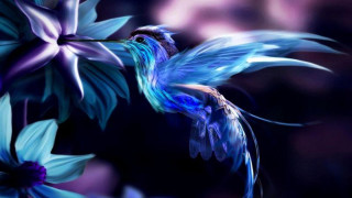 Blue bird flying purple flower - a blurry background of flowers free wallpaper