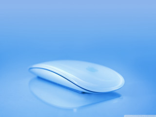 White mouse blue surface reflection - a reflection free wallpaper
