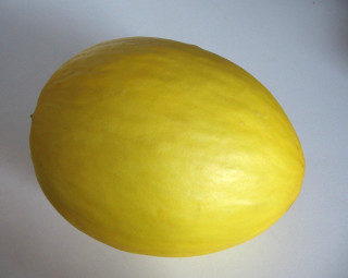 Yellow fruit white table knife - a silk screen free wallpaper