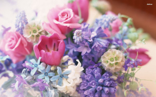 Bouquet of flowers image bouquet - still free wallpaper