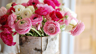 Vase filled pink white flowers - a window sill free wallpaper