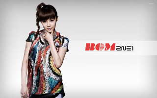 Woman colorful shirt posing hand - bian shoumin free wallpaper