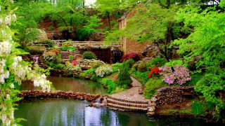 Pond trees flowers park bridge - a bridge over free wallpaper
