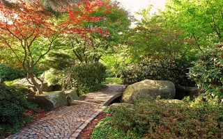 Stone path park trees rocks - de hirsh margule free wallpaper